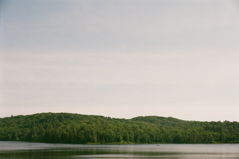 a wooded horizon separate water and sky