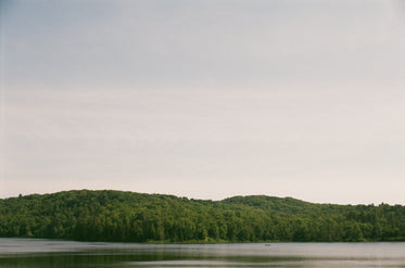 a wooded horizon separate water and sky