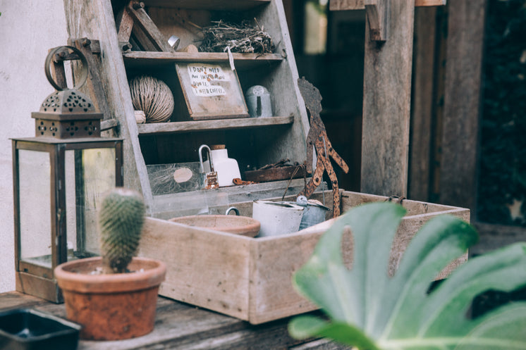 a-wooden-box-of-trinkets.jpg?width=746&format=pjpg&exif=0&iptc=0