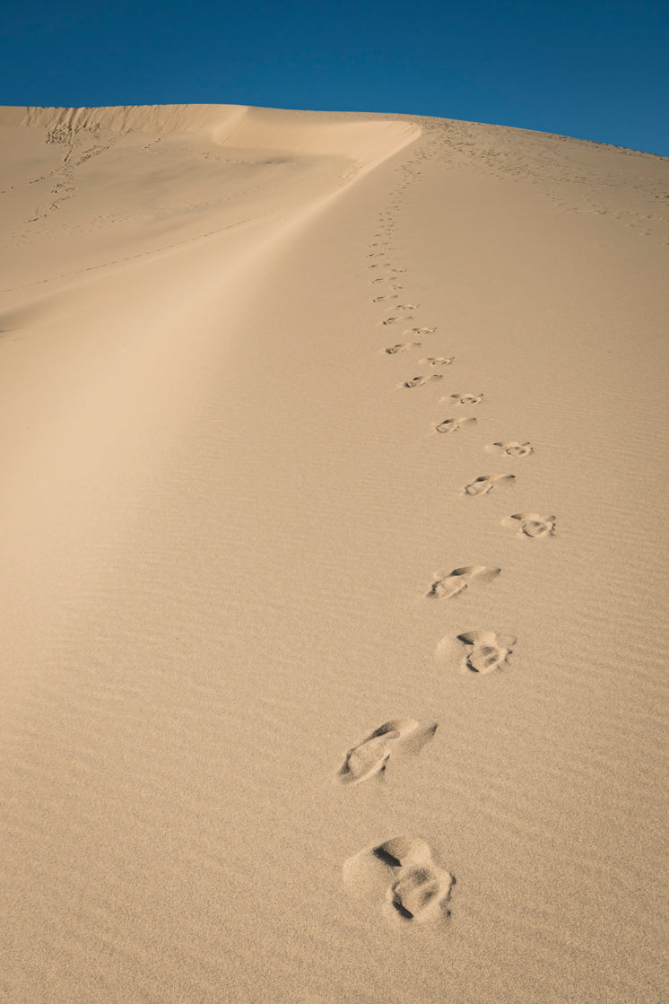 abandoned-footsteps-along-a-dune.jpg?width=746&format=pjpg&exif=0&iptc=0