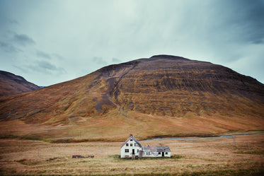 abandoned home in field