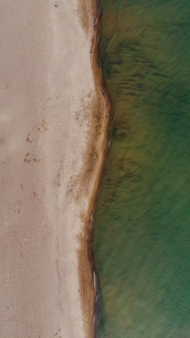 abstract image of beach scene