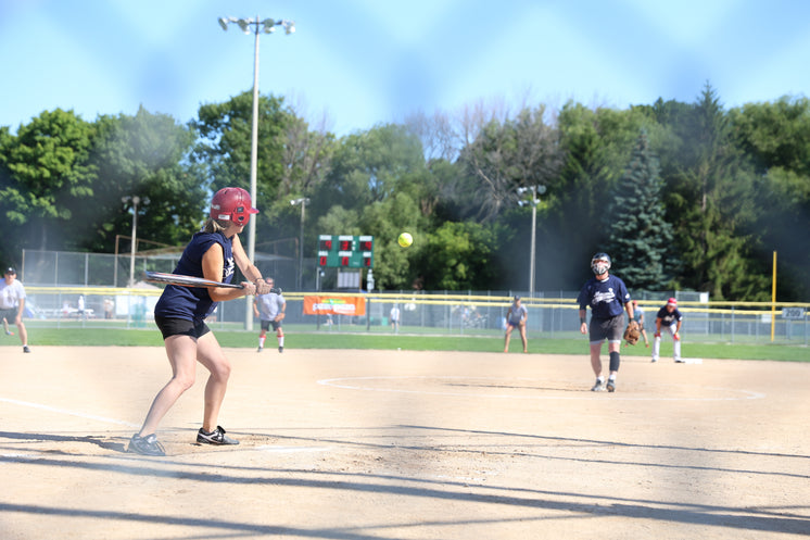 Adult Baseball Game