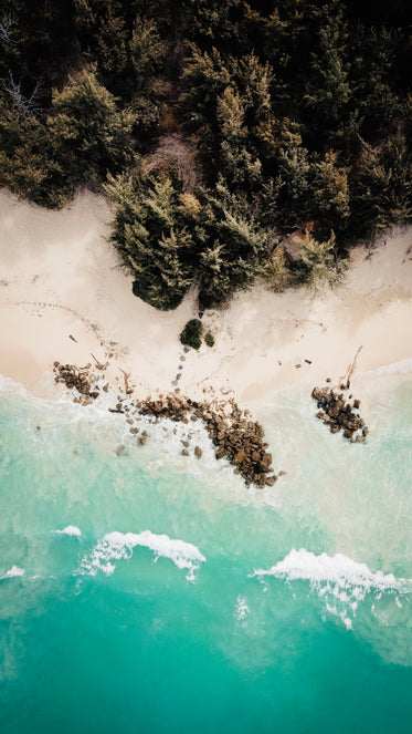 aerial image of waves hitting a tree lined sandy coast