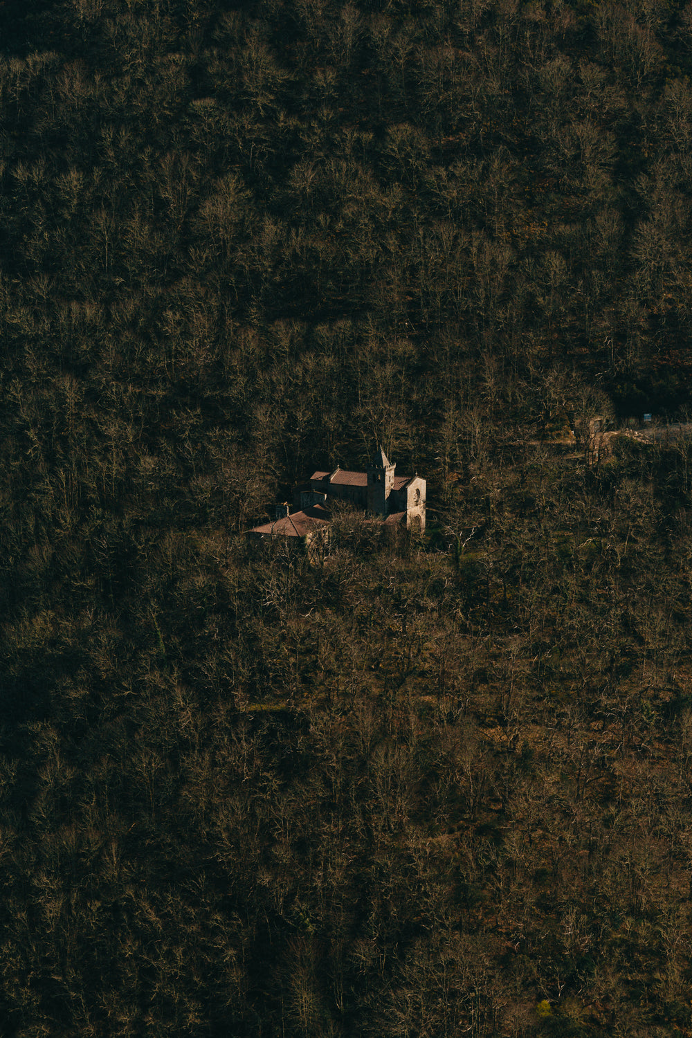 aerial photo of a building sitting within a dense forest