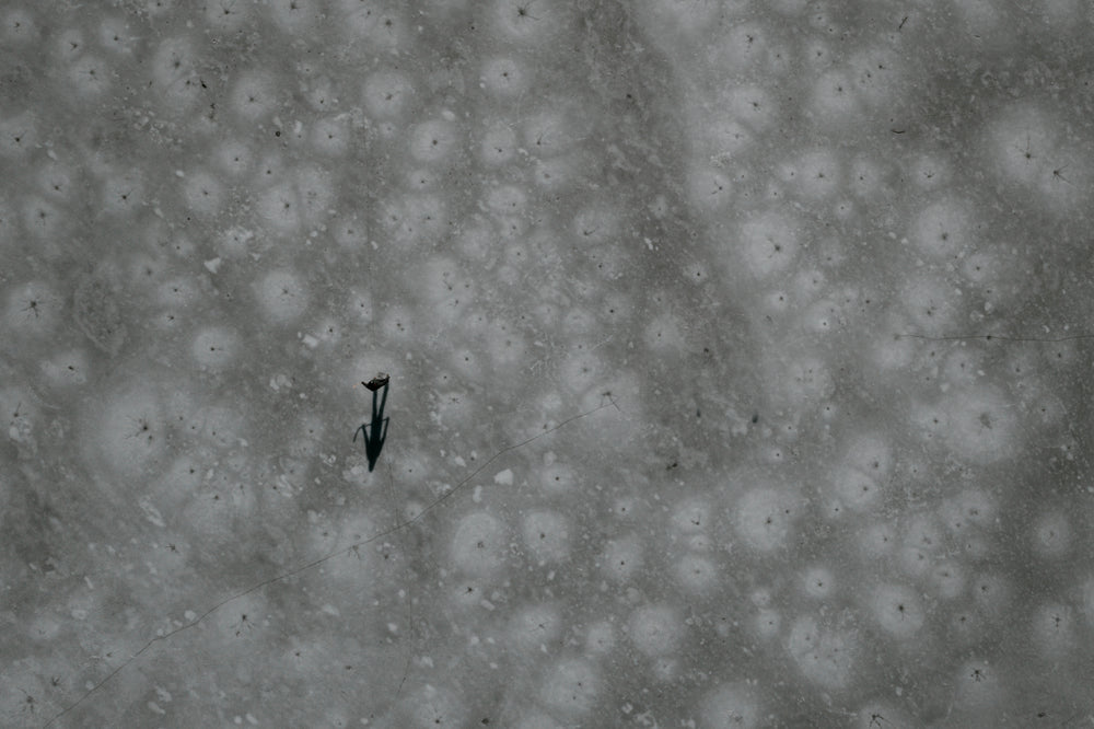 aerial photo of an outdoor ice rink with a single person on it