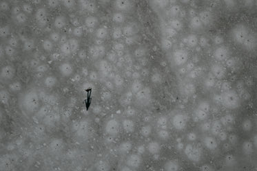 aerial photo of an outdoor ice rink with a single person on it