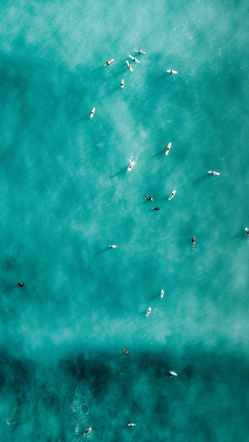aerial photo of people in aqua blue water