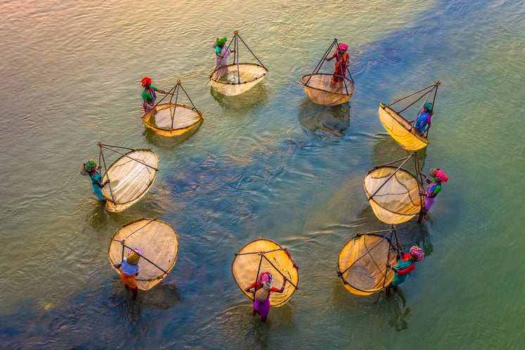 Aerial Photo Of People Stands In A Circle In Water
