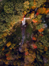aerial photography fall leaves and waterfall