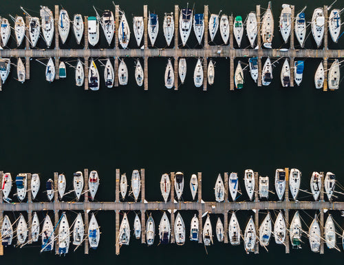 aerial two rows of docked sailboats