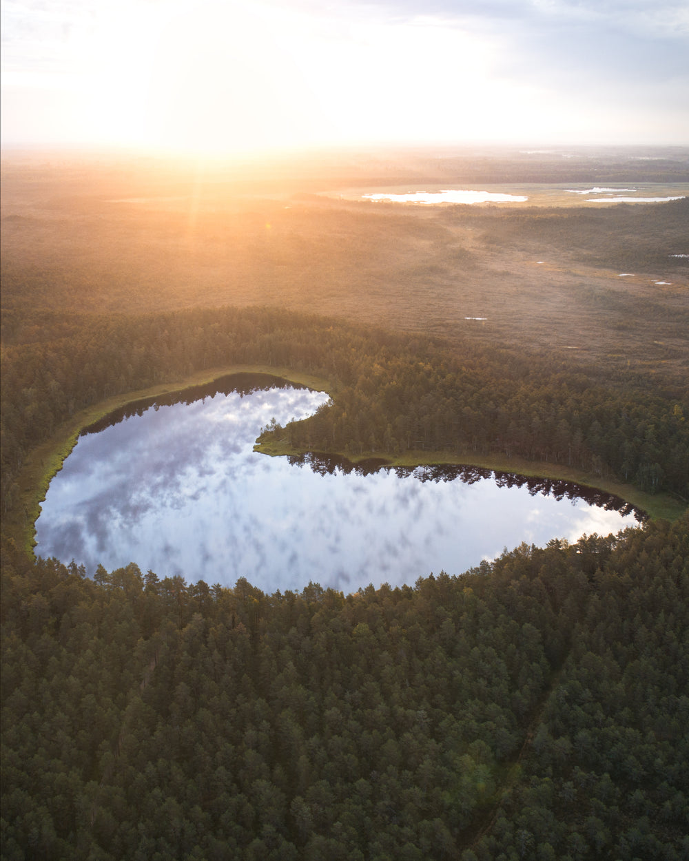aerial view of a heart shaped lake