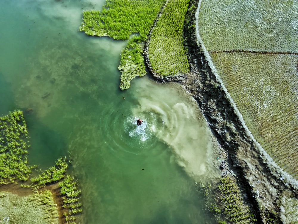 aerial view of a man taking a dip