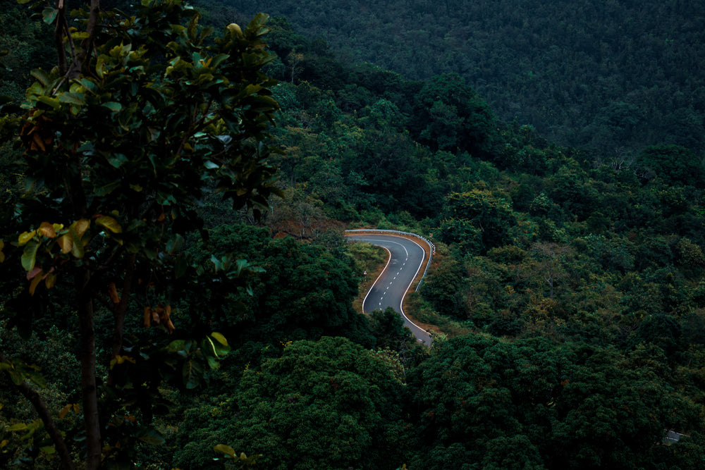 aerial view of a road amongst lush green trees