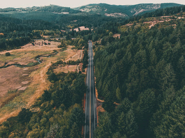 aerial view of a road lined with trees and valleys