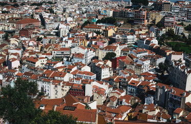 aerial view of a small coastal town