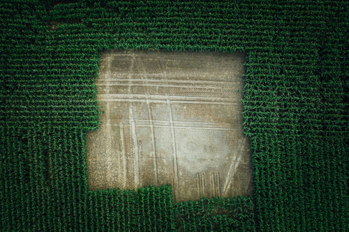 aerial view of blank section of corn field from drone