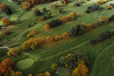 aerial view of golf course in autumn