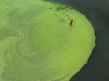 aerial view of man wading through water