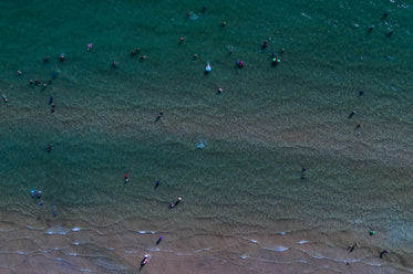 aerial view of swimmers