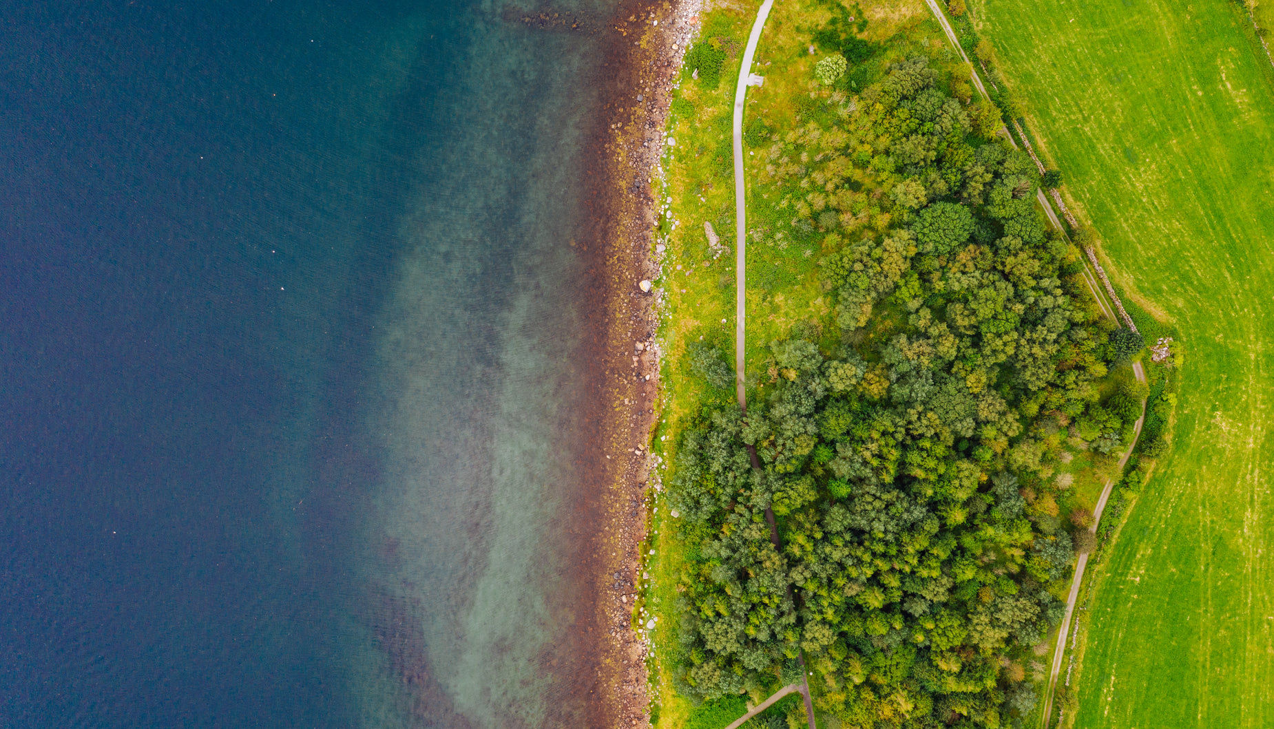 Browse Free HD Images of Aerial View Of Treeline By Lake