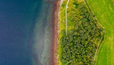 aerial view of treeline by lake