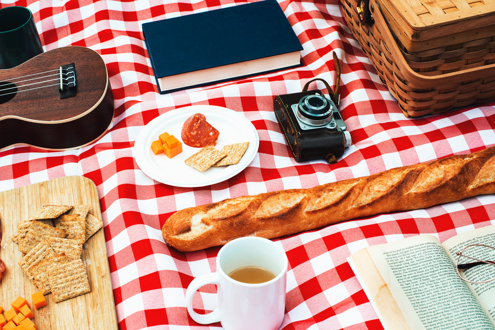 afternoon picnic with camera book and ukulele