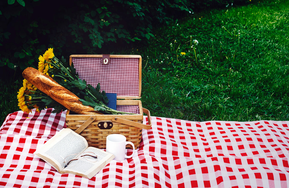 afternoon picnic