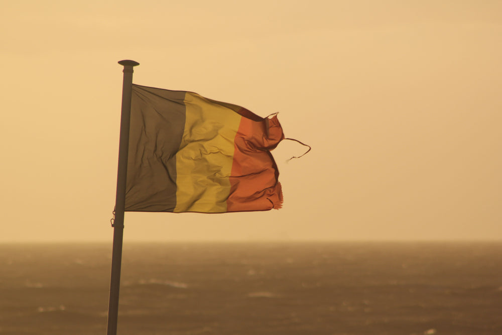 aged france flag by water