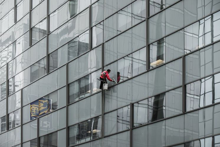 all-in-a-day-s-work-for-this-window-wash