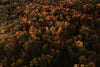 all the autumn colors seen from above