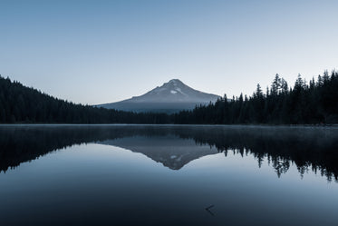 american mount hood