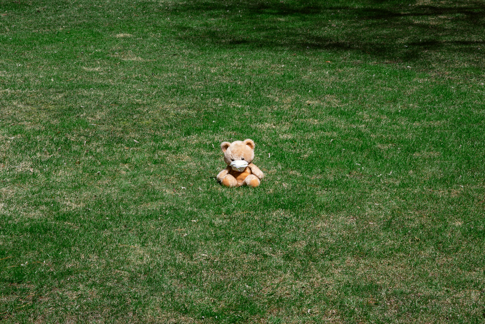 an abandoned bear with face mask