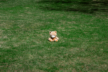 an abandoned bear with face mask