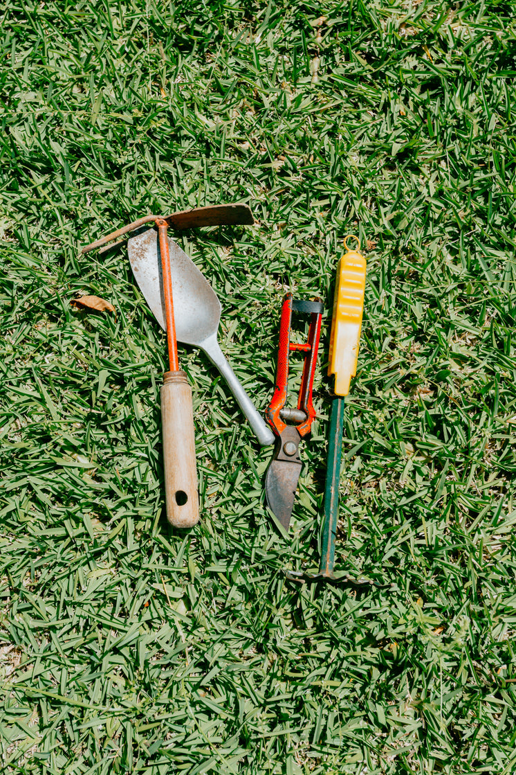 an-assortment-of-gardening-tools-on-gree