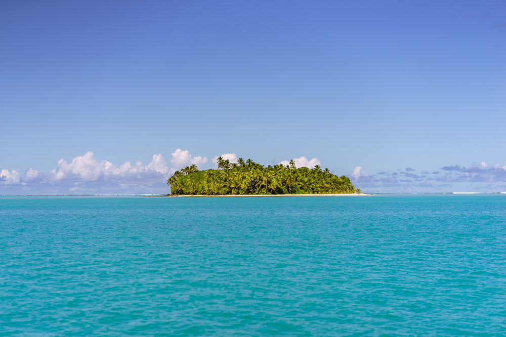 an island filled with palm trees