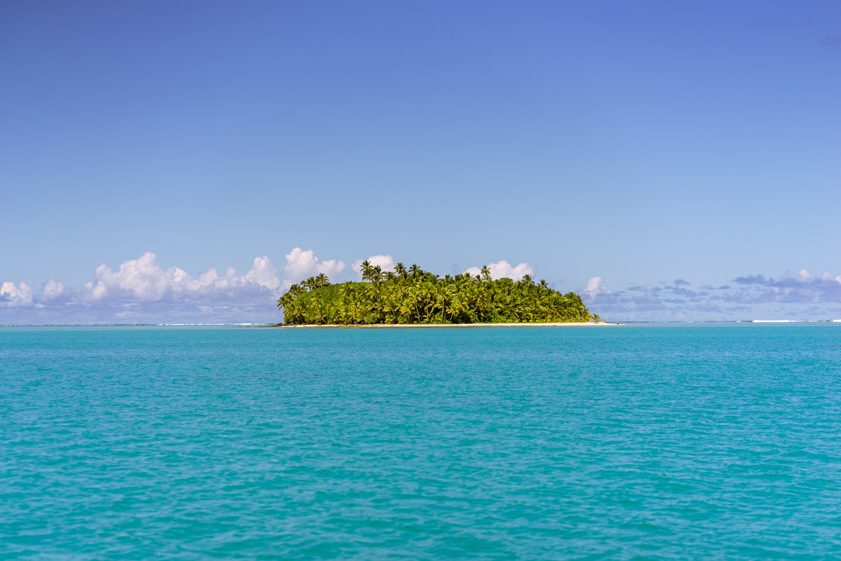 an island filled with palm trees