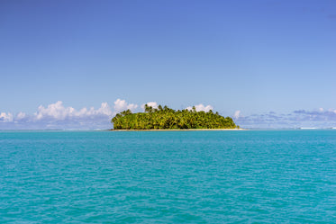 an island filled with palm trees