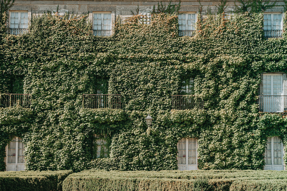 an old building covered in green foliage