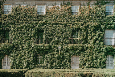 an old building covered in green foliage