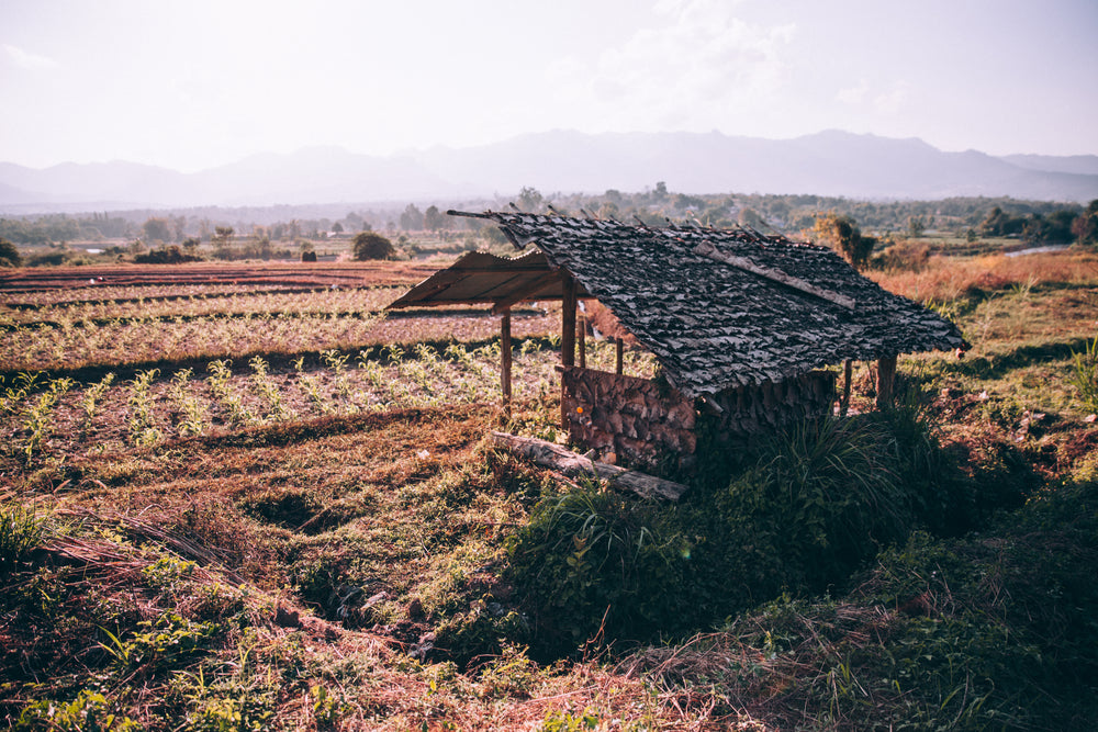 an old shed in a field