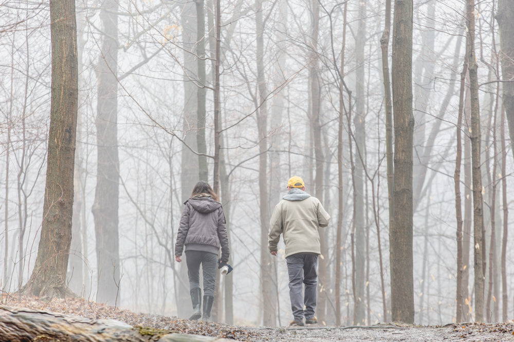 an older couple strolls into a fog filled forest