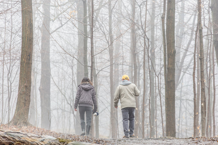An Older Couple Strolls Into A Fog Filled Forest