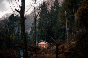 an orange house surrounded by trees