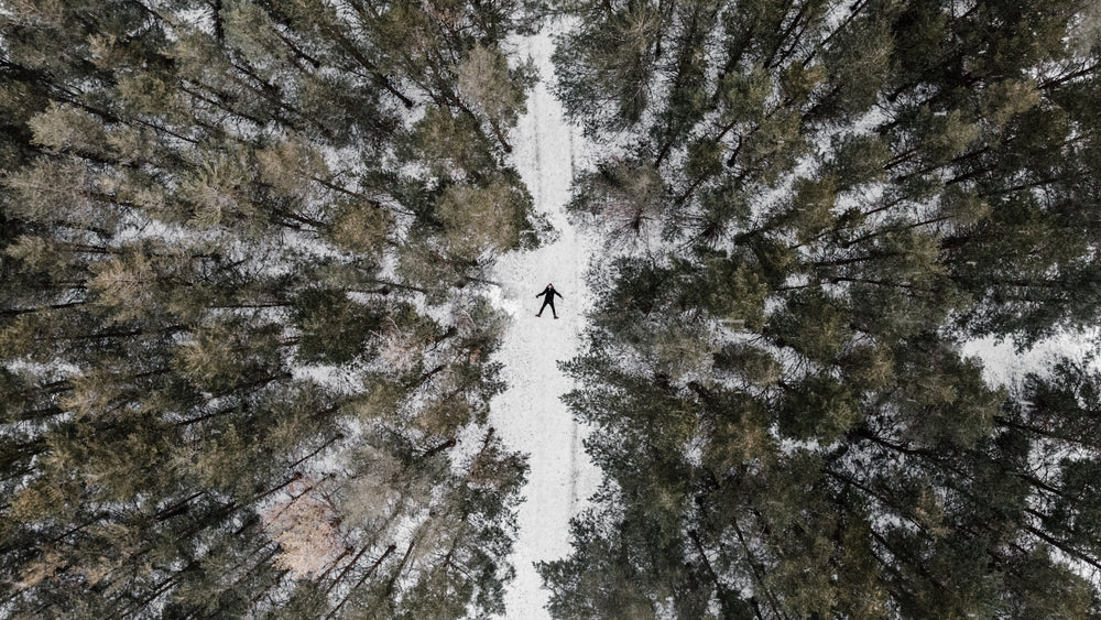 an overhead view of a snow-covered coniferous forest in winter