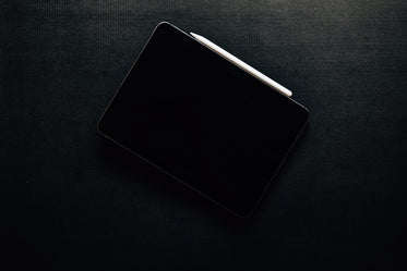 an tablet and stylus laying on a white surface