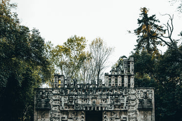 ancient temple in trees