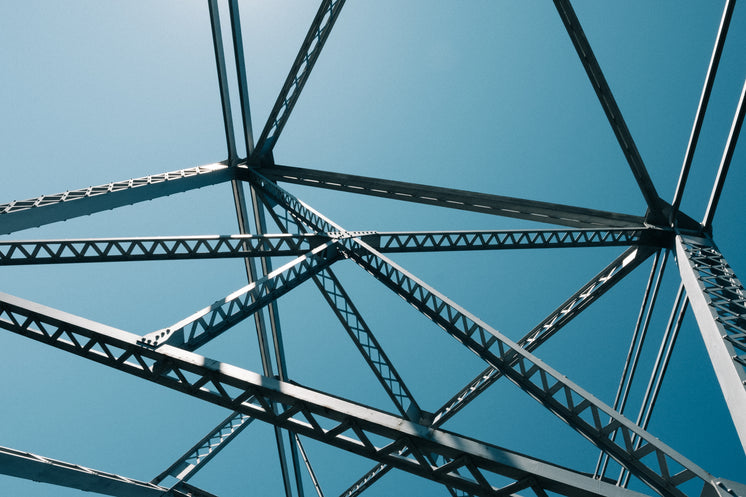 angled-beams-of_steel-bridge.jpg?width=746&format=pjpg&exif=0&iptc=0