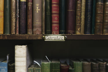 antique book store shelves