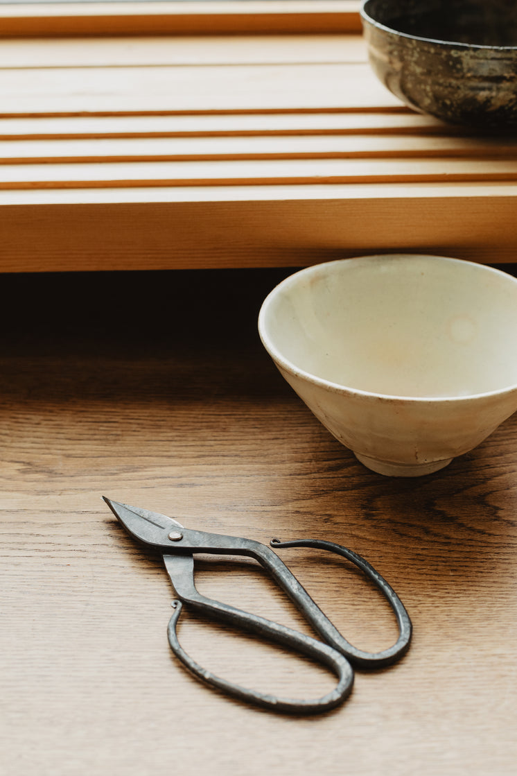 antique-scissors-by-bowls.jpg?width=746&
